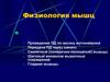 Физиология мышц