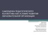 Самооценка педагогического коллектива, как условие развития образовательной организации
