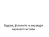 Будова, фізіологія та еволюція нервової системи