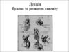 Будова та розвиток скелету