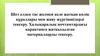 Шет елден тас жолмен келе жатқан көлік құралдары мен жаяу жүргіншілерді тексеру