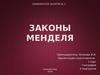 Законы Менделя. (Занятие 3)