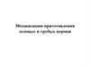 Механизация приготовления зеленых и грубых кормов