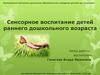 Сенсорное воспитание детей раннего дошкольного возраста