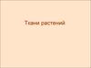 Ткани растений