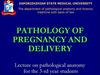 Pathology of pregnancy and delivery Pathology of pregnancy and delivery