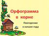 Орфограмма в корне слова