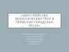 Обустройство экологических троп в Пермских городских лесах