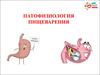 Патофизиология пищеварения