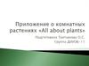 Проект. Приложение-справочник о комнатных растениях. All about plants