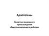 Адаптогены. Средства природного происхождения общетонизирующего действия