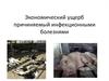 Экономический ущерб, причиняемый инфекционными болезнями