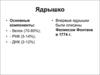 Ядерный аппарат клетки (лекция 9, часть 2)