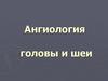 Ангиология головы и шеи