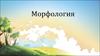 Морфология