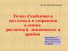 Сходство и различия клеток растений грибов и животных
