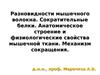 Разновидности мышечного волокна. Сократительные белки. Механизм сокращения
