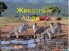 Животные Африки