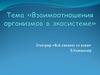 Взаимоотношения организмов в экосистеме