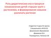 Роль дидактических игр в процессе ознакомления детей старших групп с растениями, в формирование навыков различать растения