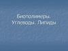 Биополимеры. Углеводы. Липиды