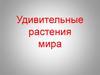 Удивительные растения мира