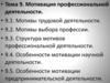 Мотивация профессиональной деятельности