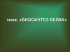 Биосинтез белка