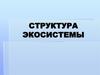 Структура экосистемы