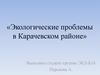 Экологические проблемы в Карачевском районе