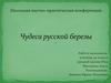 Чудеса русской березы