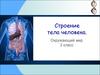 Строение тела