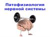 Патофизиология нервной системы. Уровни нарушения функции нервной системы