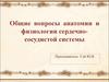 Общие вопросы анатомии и физиологии сердечно-сосудистой системы