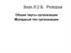 Общие черты организации. Монадный тип организации