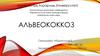 Альвеококкоз ауруына сипаттама. Қоздырушысы. Жіктелуі. Орналасатын жері. Даму айналымы. Індеттанулық деректер. Ауруды анықтау