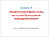 Экологическая безопасность, как аспект безопасности жизнедеятельности