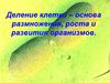 Деление клетки – основа размножения, роста и развития организмов