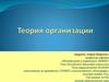 Теория организации