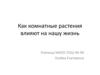 Влияние комнатных растений на человека
