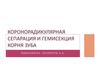 Коронорадикулярная сепарация и гемисекция корня зуба