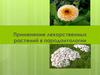 Применение лекарственных растений в пародонтологии