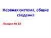 Нервная система, общие сведения
