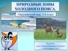 Природные зоны холодного пояса. (2 класс)