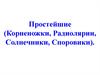 Простейшие. Корненожки. Радиолярии. Солнечники. Споровики
