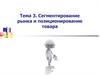 Сегментирование рынка и позиционирование товара