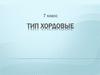 Тип хордовые