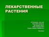 Лекарственные растения