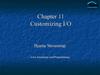 Customizing I/O. (Chapter 11)