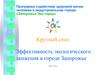 Круглый стол. Эффективность экологического движения в городе Запорожье 2017 год